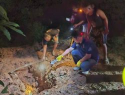 Lebih Parah dari Malin Kundang, Pemuda di Lahat Tega Mutilasi Ibu Kandung