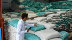 59 Tahun Menjahit Lumbung Bangsa: Jejak Bulog Mengawal Pangan, Menjaga Masa Depan dari Sawah Lahat Sumatera Selatan