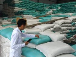 59 Tahun Menjahit Lumbung Bangsa: Jejak Bulog Mengawal Pangan, Menjaga Masa Depan dari Sawah Lahat Sumatera Selatan